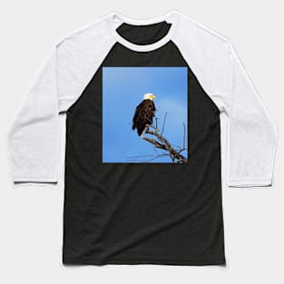 Bald Eagle Perched In a Tree In The Winter Baseball T-Shirt